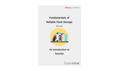 Fundamentals of Reliable Flash Storage: An Introduction to Security